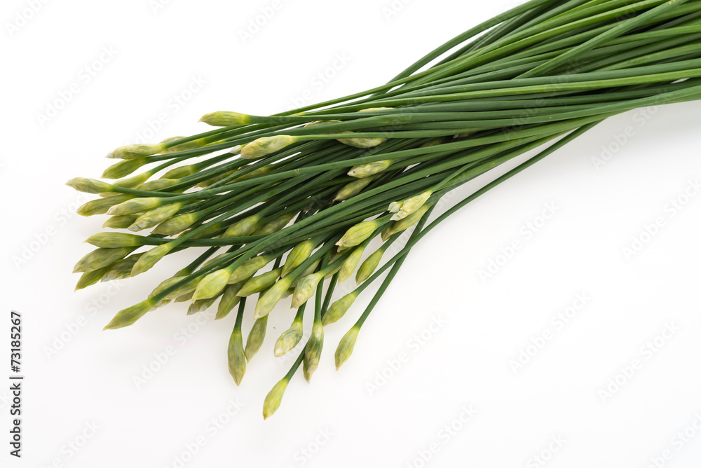 Garlic chives