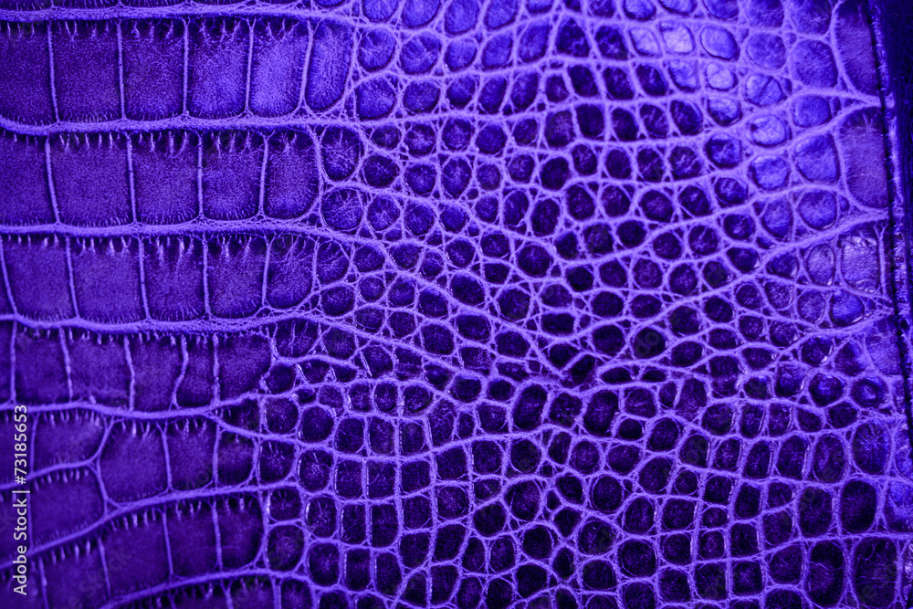 Fototapeta premium Leather texture