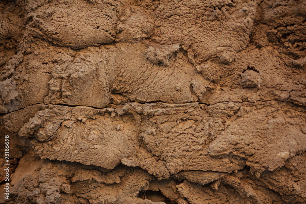 Fototapeta premium Texture cement