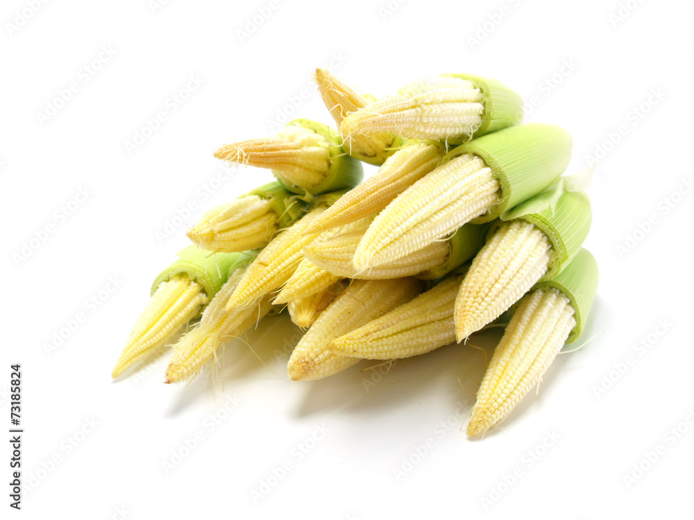 baby corn baby corn