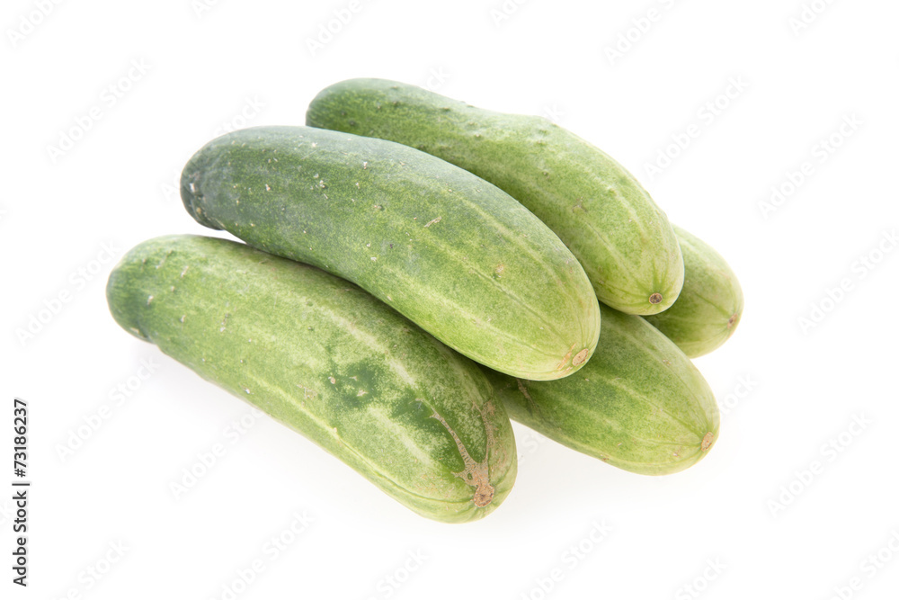 cucumber green vegetable isolated on white background cucumber green vegetable isolated on white background