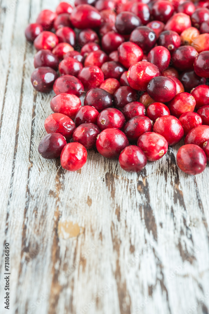 Cranberry Cranberry