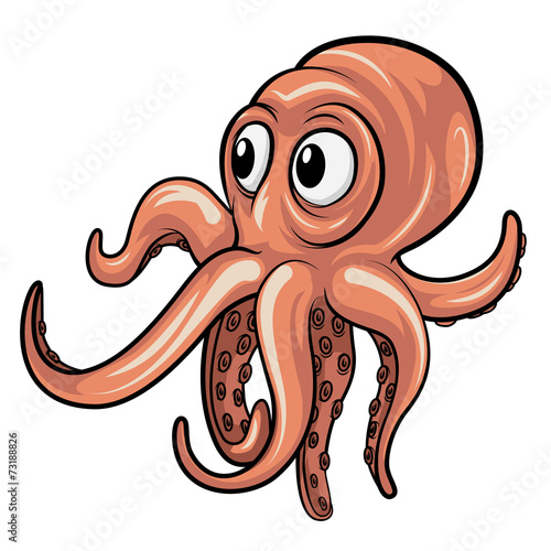 Octopus