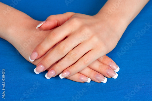 female hands with perfect french manicure on blue background