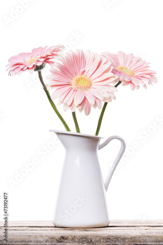 Wallpaper Mural Gerbera pink daisy flower Torontodigital.ca