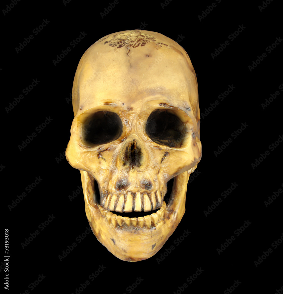Obraz premium Human skull isolated on black background.