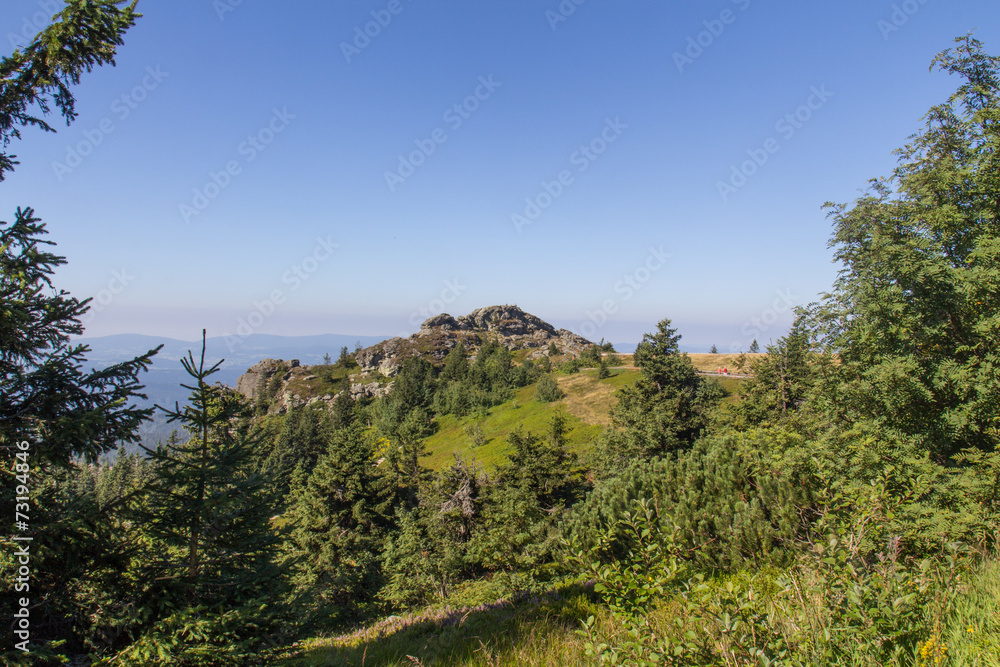 hiking at the arber hiking at the arber