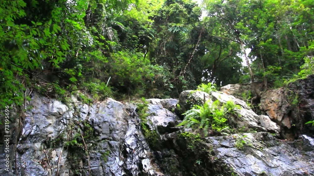 Tropical rainforest landscape with beautiful waterfall, rocks Tropical rainforest landscape with beautiful waterfall, rocks