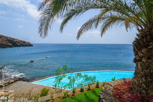 Palm tree and swimming pool on coast of Madeira island, Portugal