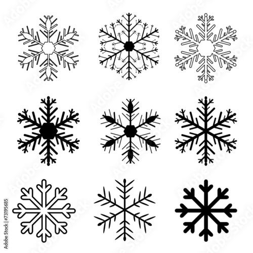 Set of vector snow flakes on white background  vector