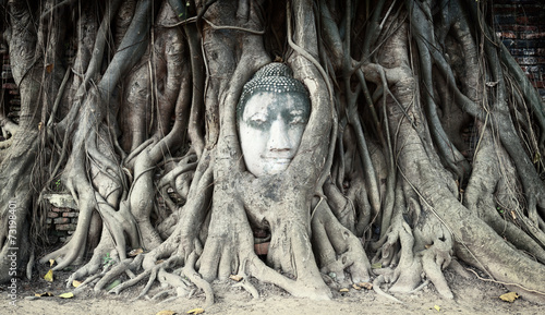 Travel to Thailand, Ayutthaya. Old tree Buddha stone sculpture. © Banana Republic