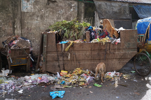 The garbage container in Dhaka photo