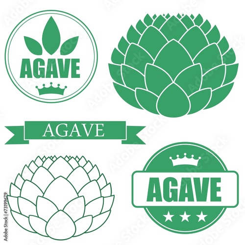 Agave