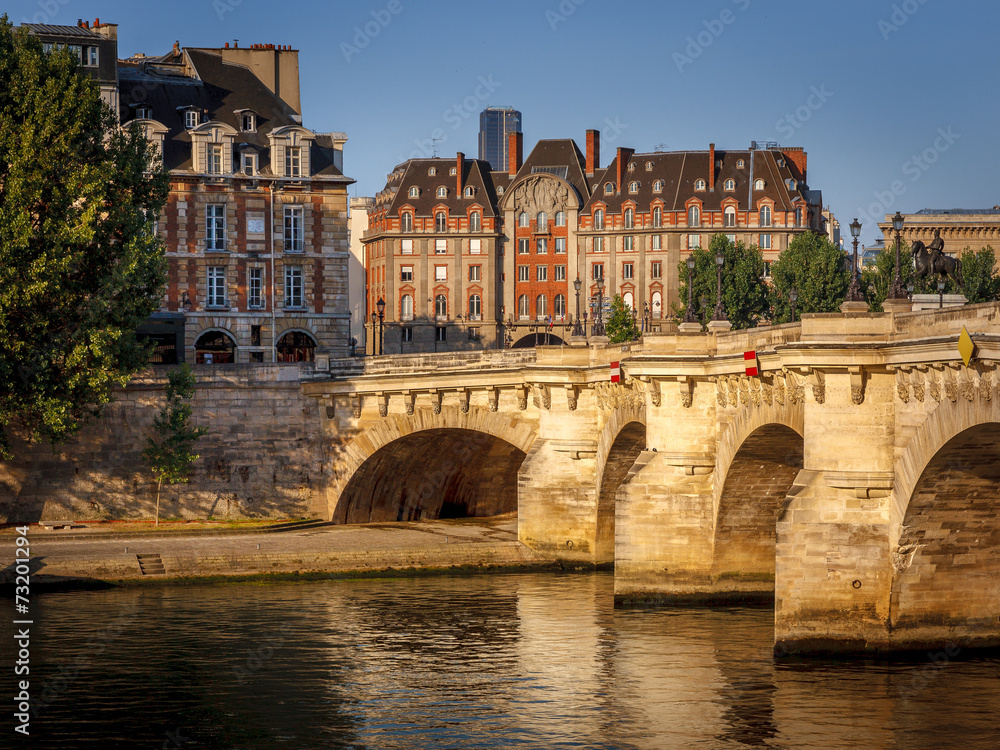 Obraz premium Morning light over the River Seine, Pont Neuf and Ile de la Cit