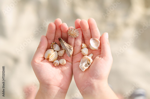 Child hands holding sea shells.