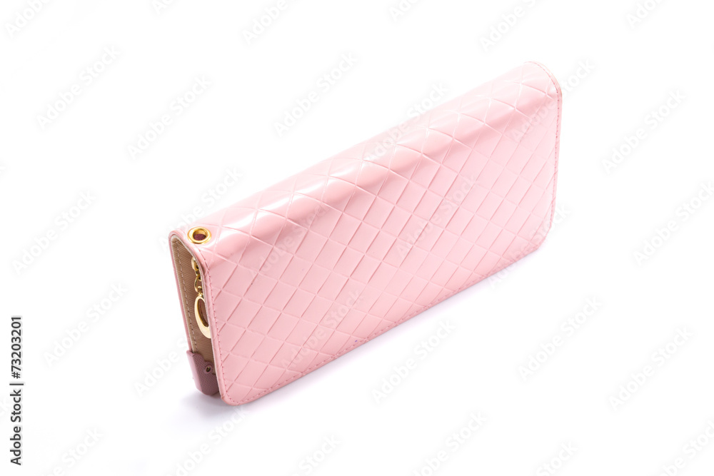 Obraz premium woman wallet