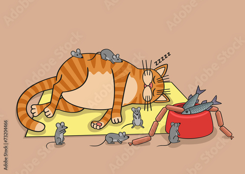 Lazy cat.