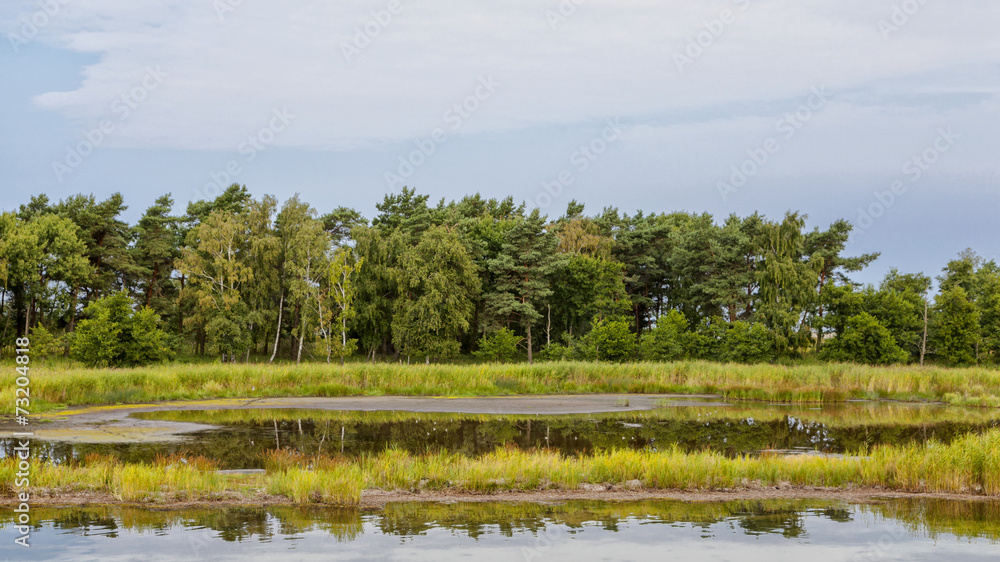 Am Bodstedter Bodden