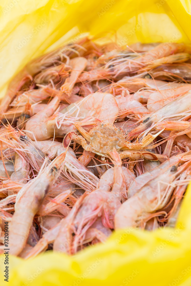 Fresh shrimps and small crab Fresh shrimps and small crab