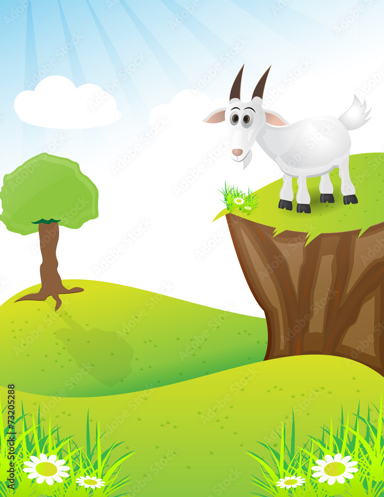 goat on the top of hill