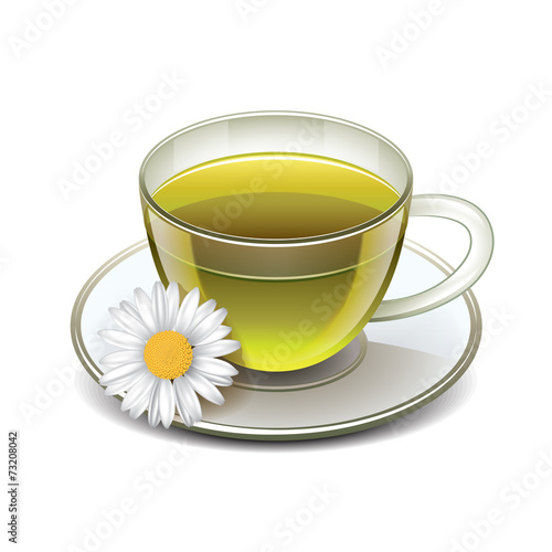 Green tea cup with chamomile isolated