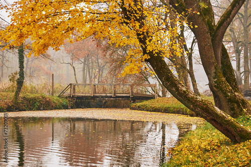 Fototapeta Naklejka Na Ścianę i Meble -  Bridge in autumn park