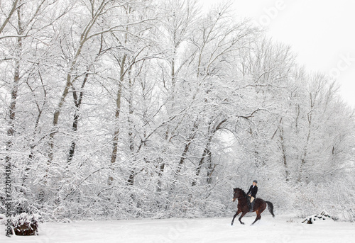 Cantering horseback on a snowy field