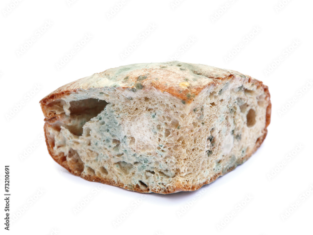 Moldy bread Moldy bread