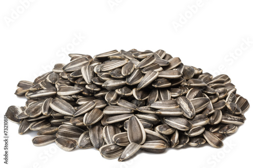 sunflower seeds laid slide