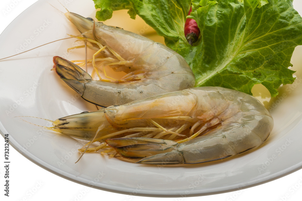 Tiger prawn