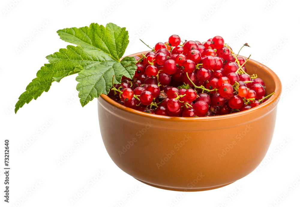 Red currant Red currant