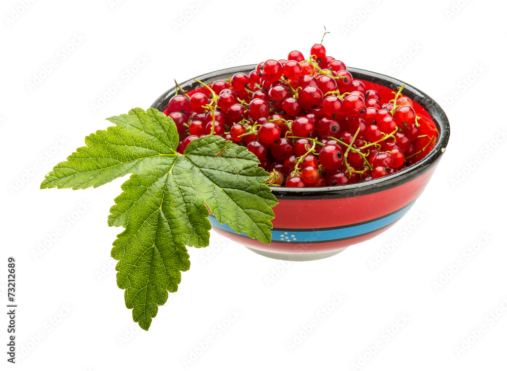 Red currant Red currant