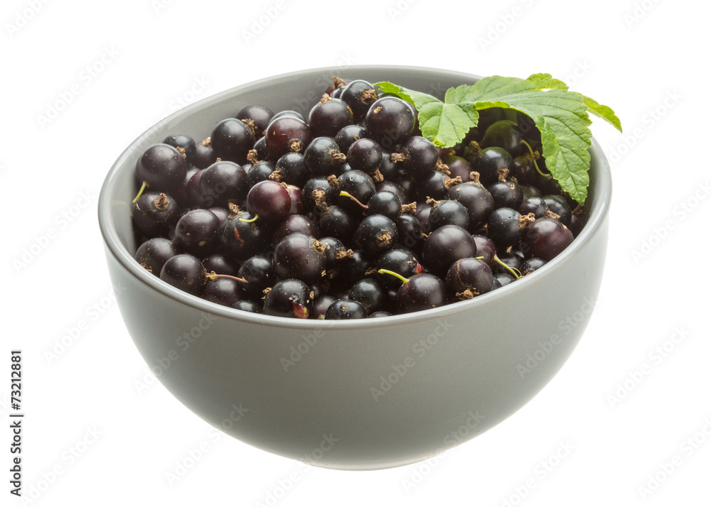 Black currant Black currant