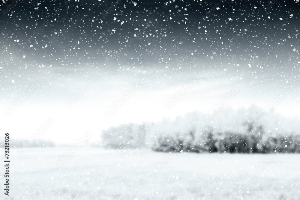 Fototapeta premium xmas