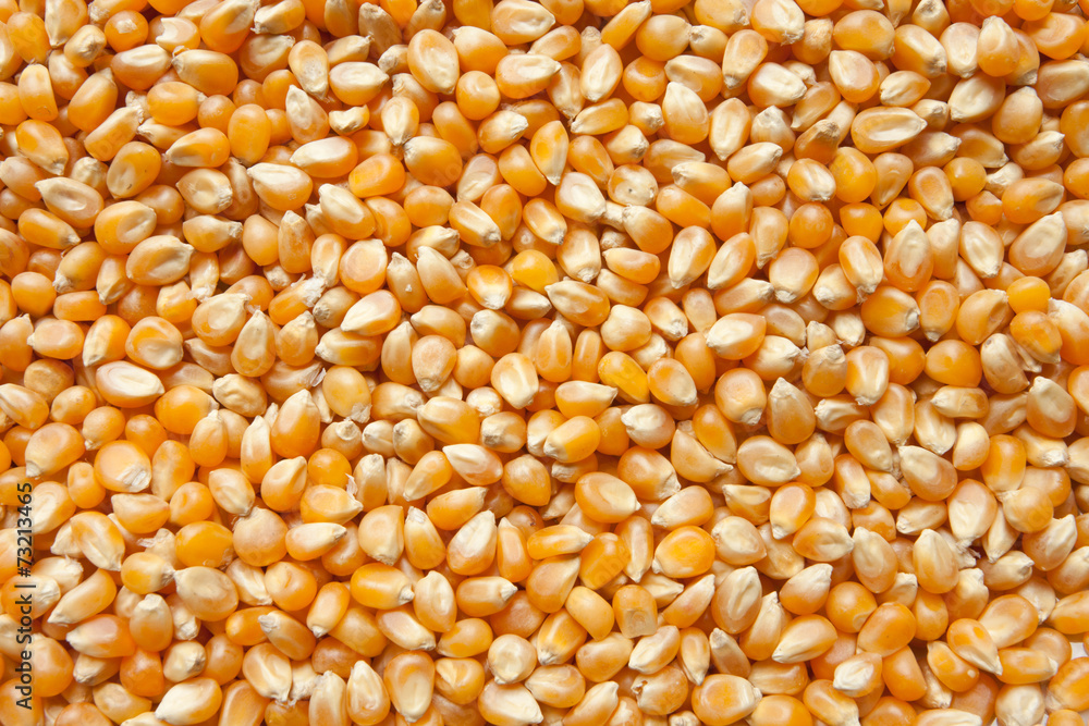 pop corn pop corn