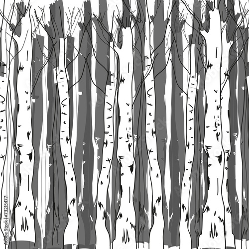 Background of birch trunks