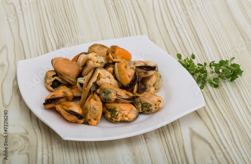 Mussels