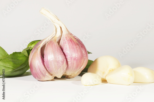 Garlic, Vegetables