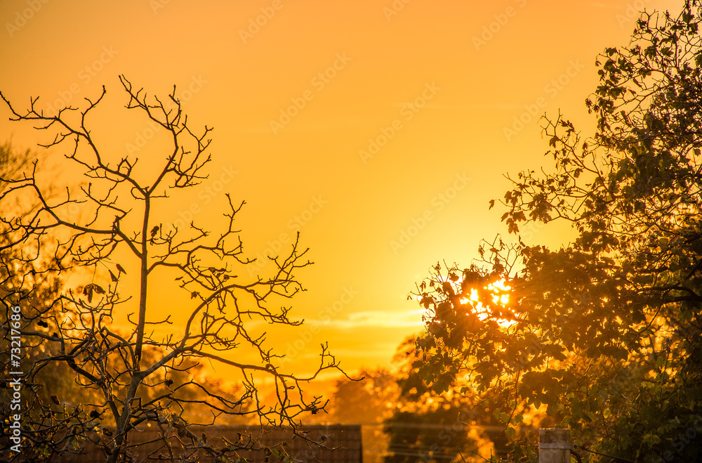 Sunset