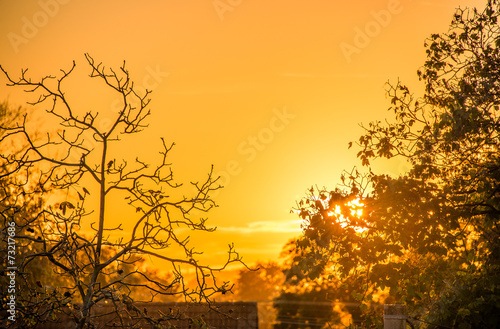 Obraz na płótnie Sunset w salonie