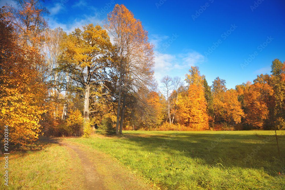 Fototapeta premium Autumn landscape