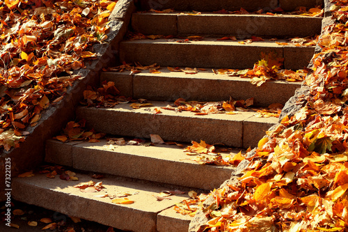 Stone steps in autumn park