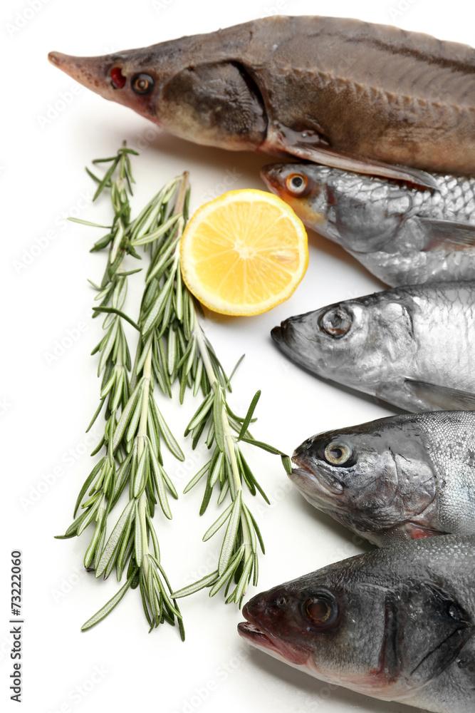 Fresh fish with lemon and rosemary close-up Fresh fish with lemon and rosemary close-up
