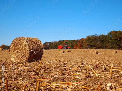 Dried Round Bale in Corn Field