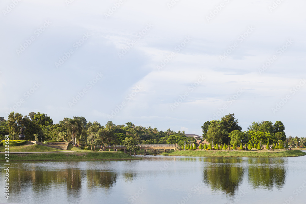 Fototapeta premium swamp within the park