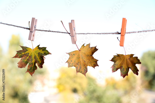 Leaves hanging on rope on natural background photo