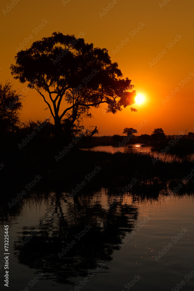 Tree reflected in water at sunset, Kwando river Tree reflected in water at sunset, Kwando river