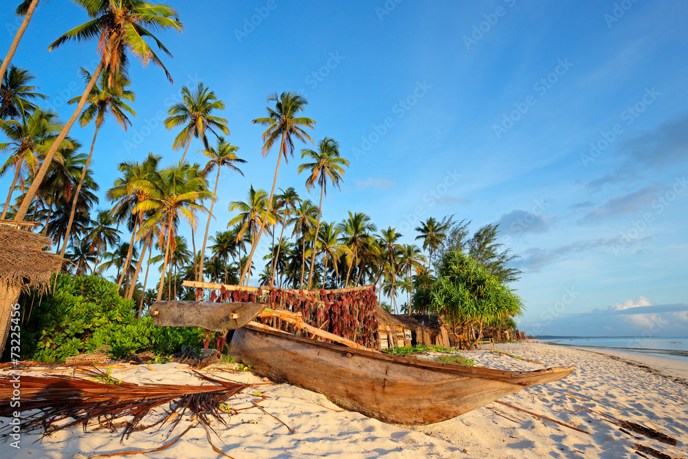Fototapeta premium Tropical beach, Zanzibar island