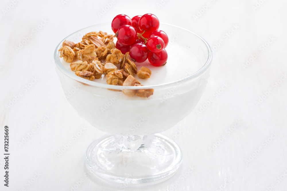 creamy panna cotta with fresh berries and granola, horizontal creamy panna cotta with fresh berries and granola, horizontal