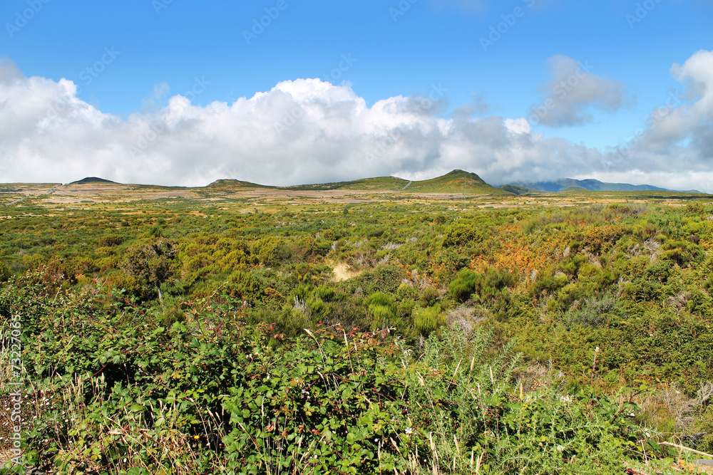 nature landscape in Portugal
